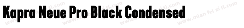 Kapra Neue Pro Black Condensed Roun字体转换